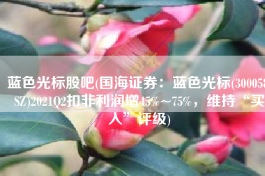 蓝色光标股吧(国海证券：蓝色光标(300058.SZ)2021Q2扣非利润增45%~75%，维持“买入”评级)