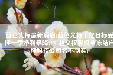 蓝色光标最新消息(蓝色光标千亿目标受挫一季净利暴降91% 赵文权股权全冻结自称科技公司名不副实)