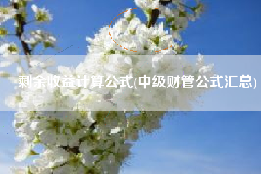 剩余收益计算公式(中级财管公式汇总)