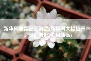 新华网股票最新消息(新华网大幅拉升3.99% 股价创近2个月新高)