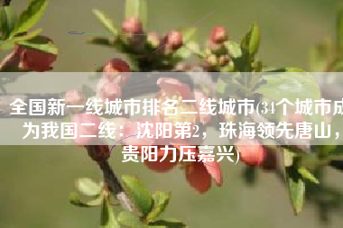 全国新一线城市排名二线城市(34个城市成为我国二线：沈阳第2，珠海领先唐山，贵阳力压嘉兴)