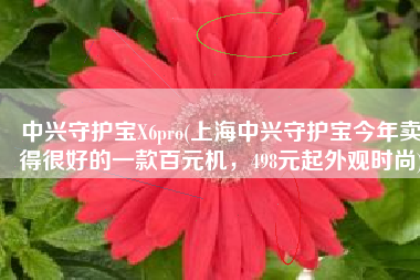 中兴守护宝X6pro(上海中兴守护宝今年卖得很好的一款百元机，498元起外观时尚)