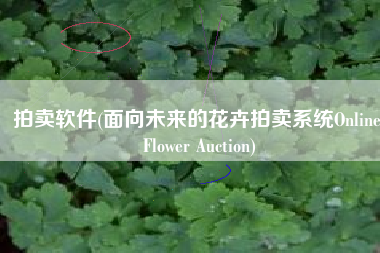 拍卖软件(面向未来的花卉拍卖系统Online Flower Auction)