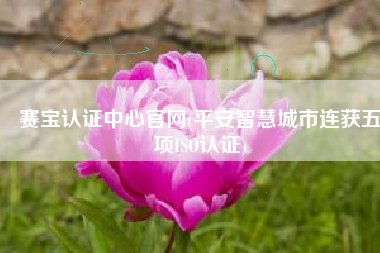 赛宝认证中心官网(平安智慧城市连获五项ISO认证)