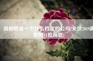 简柏特是一个什么档次的公司(光伏2019离职的41位高管)