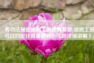 劳动法规定加班工资计算基数(加班工资可以约定计算基数吗？（附详细讲解）)