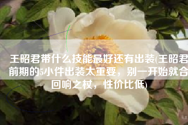 王昭君带什么技能最好还有出装(王昭君前期的5小件出装太重要，别一开始就合回响之杖，性价比低)