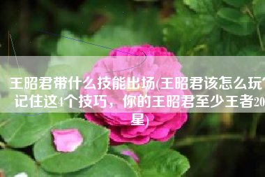 王昭君带什么技能出场(王昭君该怎么玩？记住这4个技巧，你的王昭君至少王者20星)