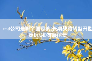 amd公司是哪个国家的(长期战略转型开始 浅析AMD发展前景)