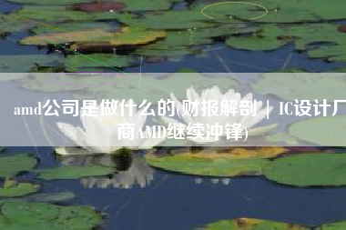 amd公司是做什么的(财报解剖 | IC设计厂商AMD继续冲锋)