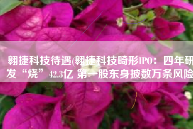 翱捷科技待遇(翱捷科技畸形IPO：四年研发“烧”42.3亿 第一股东身披数万条风险)
