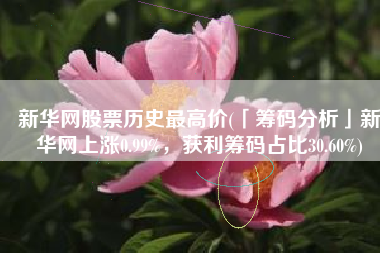 新华网股票历史最高价(「筹码分析」新华网上涨0.99%，获利筹码占比30.60%)