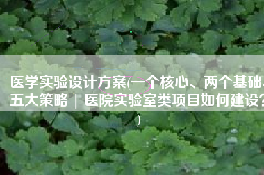 医学实验设计方案(一个核心、两个基础、五大策略 | 医院实验室类项目如何建设？)