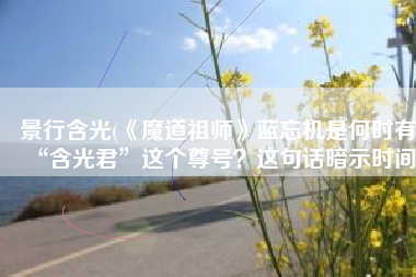 景行含光(《魔道祖师》蓝忘机是何时有“含光君”这个尊号？这句话暗示时间)