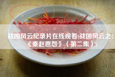 战国风云纪录片在线观看(战国风云之：《秦赵恩怨》（第二集）)