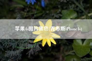 苹果4s图片黑色(乔布斯iPhone4s)