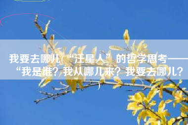 我要去哪儿(“汪星人”的哲学思考——“我是谁？我从哪儿来？我要去哪儿？”)