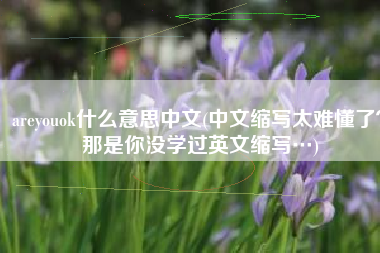 areyouok什么意思中文(中文缩写太难懂了？那是你没学过英文缩写…)