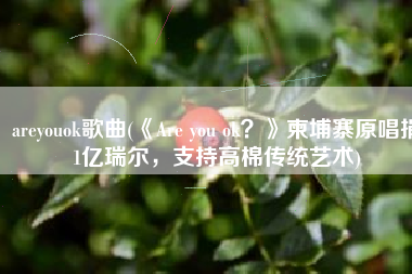 areyouok歌曲(《Are you ok？》柬埔寨原唱捐1亿瑞尔，支持高棉传统艺术)