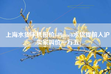 上海水货手机报价(iPhone6水货提前入沪 卖家叫价一万五)