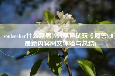 soulseeker什么意思(NGA媒体试玩《魔兽9.0》最新内容图文体验与总结)