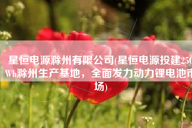 星恒电源滁州有限公司(星恒电源投建25GWh滁州生产基地，全面发力动力锂电池市场)