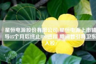 星恒电源股份有限公司(星恒电源上市辅导15个月后终止IPO进程 期间曾引葛卫东入股)