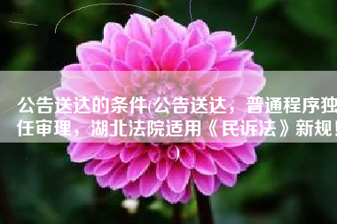 公告送达的条件(公告送达，普通程序独任审理，湖北法院适用《民诉法》新规！)