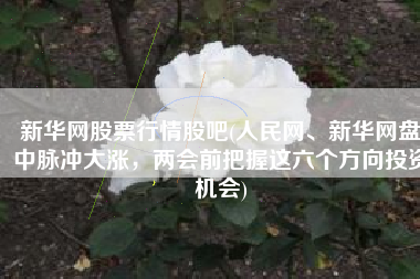 新华网股票行情股吧(人民网、新华网盘中脉冲大涨，两会前把握这六个方向投资机会)