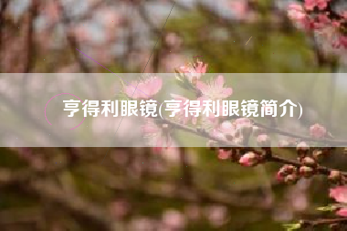 亨得利眼镜(亨得利眼镜简介)