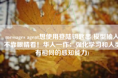 messages agent想使用登陆钥匙串(模型输入不靠眼睛看！华人一作：强化学习和人类有相同的感知能力)