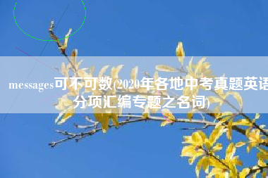 messages可不可数(2020年各地中考真题英语分项汇编专题之名词)