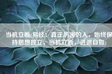 当机立断(易经：真正厉害的人，始终保持思想独立，当机立断，进退自如)