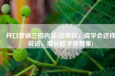 开口营销三招内容(拉存款，请学会这样说话，增长超乎你想象)