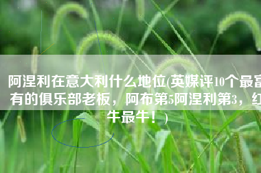 阿涅利在意大利什么地位(英媒评10个最富有的俱乐部老板，阿布第5阿涅利第3，红牛最牛！)