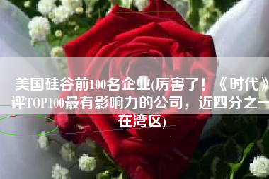 美国硅谷前100名企业(厉害了！《时代》评TOP100最有影响力的公司，近四分之一在湾区)