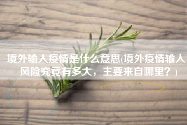 境外输入疫情是什么意思(境外疫情输入，风险究竟有多大，主要来自哪里？)
