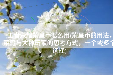 王者荣耀紫星币怎么用(紫星币的用法，菜鸟与大神玩家的思考方式，一个或多个选择)