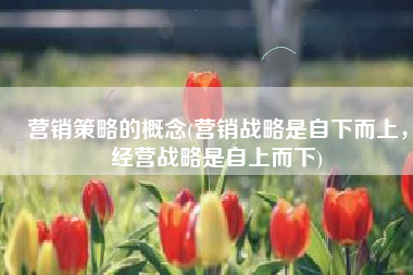 营销策略的概念(营销战略是自下而上，经营战略是自上而下)