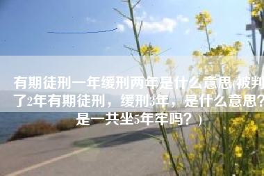 有期徒刑一年缓刑两年是什么意思(被判了2年有期徒刑，缓刑3年，是什么意思？是一共坐5年牢吗？)