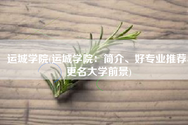 运城学院(运城学院：简介、好专业推荐、更名大学前景)
