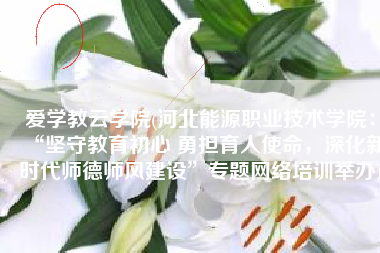 爱学教云学院(河北能源职业技术学院：“坚守教育初心 勇担育人使命，深化新时代师德师风建设”专题网络培训举办)