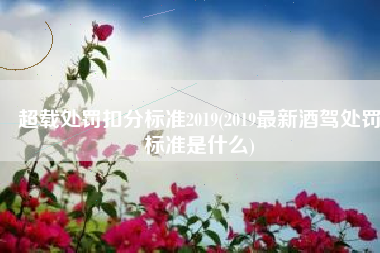 超载处罚扣分标准2019(2019最新酒驾处罚标准是什么)
