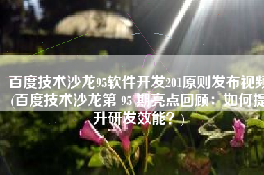 百度技术沙龙95软件开发201原则发布视频(百度技术沙龙第 95 期亮点回顾：如何提升研发效能？)