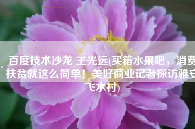 百度技术沙龙 王光远(买箱水果吧，消费扶贫就这么简单！美好商业记者探访雅安飞水村)