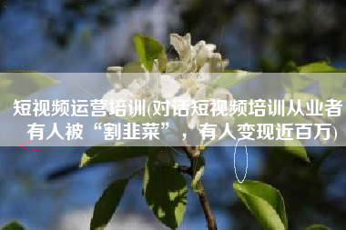 短视频运营培训(对话短视频培训从业者：有人被“割韭菜”，有人变现近百万)
