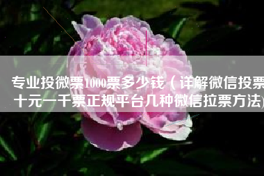 专业投微票1000票多少钱（详解微信投票十元一千票正规平台几种微信拉票方法)