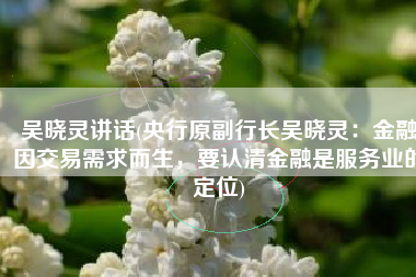 吴晓灵讲话(央行原副行长吴晓灵：金融因交易需求而生，要认清金融是服务业的定位)