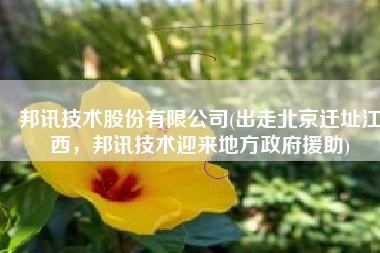 邦讯技术股份有限公司(出走北京迁址江西，邦讯技术迎来地方政府援助)