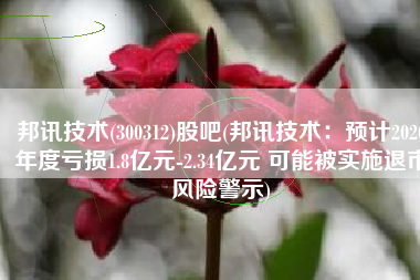 邦讯技术(300312)股吧(邦讯技术：预计2020年度亏损1.8亿元-2.34亿元 可能被实施退市风险警示)